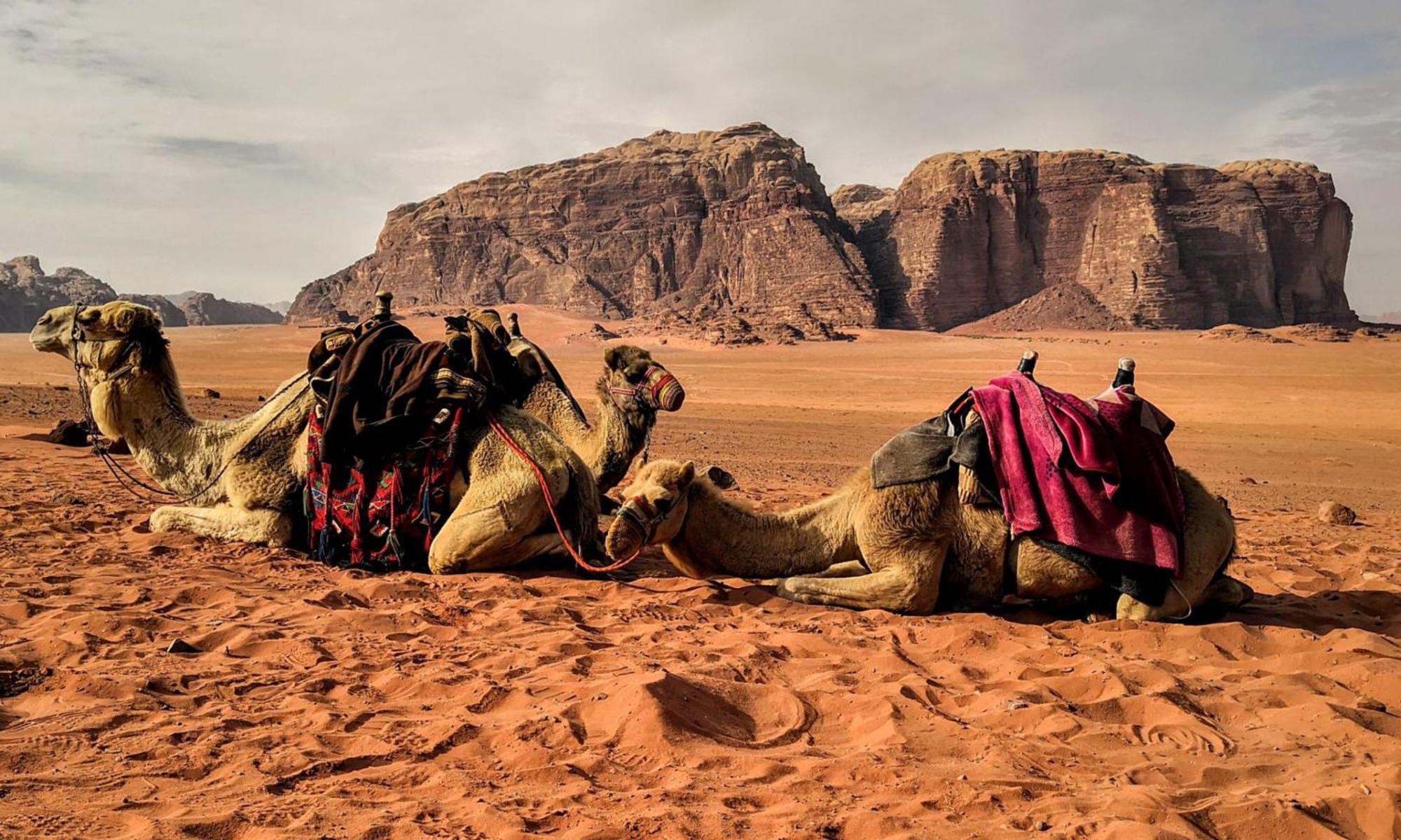 Wadi Rum Caeser Camp Hotel Kültér fotó