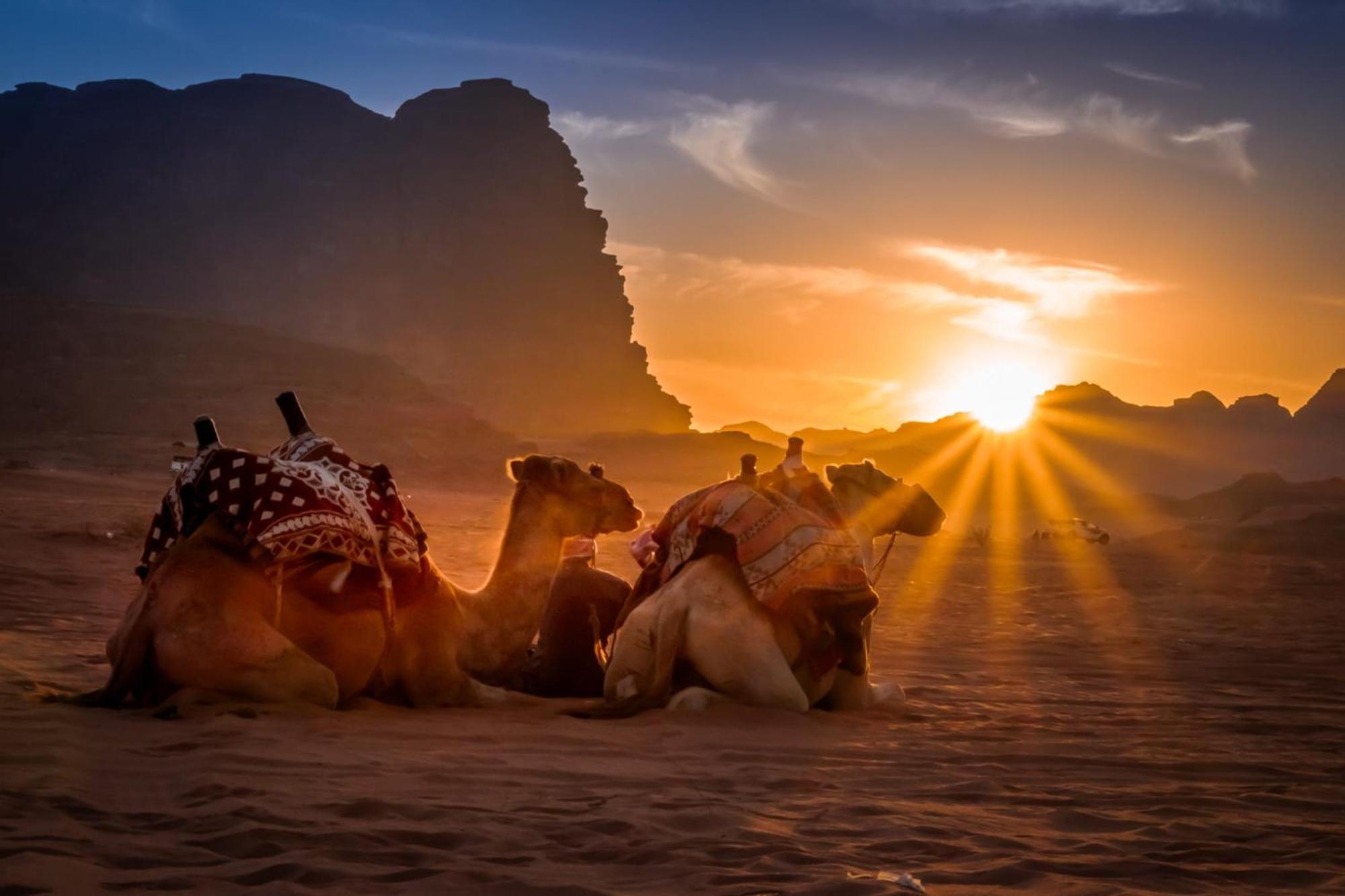 Wadi Rum Caeser Camp Hotel Kültér fotó